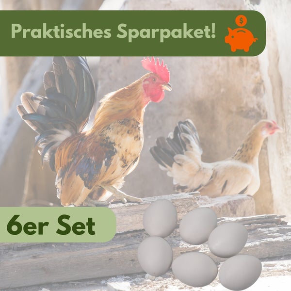 6x Legeeier Kunsteier Nesteier für Hühner Gipseier Bruteier Fasanen Enten Künstliche Eier Hühnereier Weiß