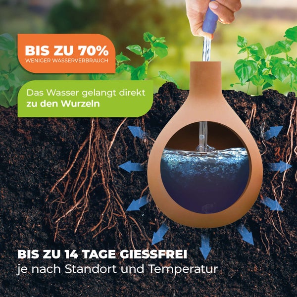 Olla Pflanzenbewässerung Hydro Max in den Größen 4 x 1 L