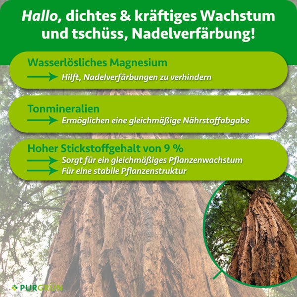Infografik zum Purgruen Koniferenduenger mit Informationen zu wasserloeslichem Magnesium, Tonmineralien und Stickstoffgehalt fuer Nadelbaeume.
