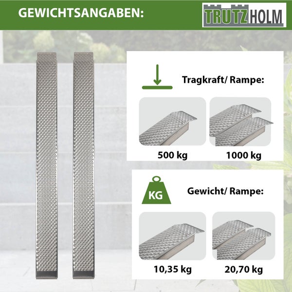 TRUTZHOLM 2 x Auffahrrampen 250 cm Traglast 1000 kg Alu grau gelocht Motorradrampen Verladerampen