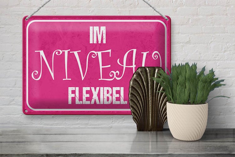 Blechschild Spruch 30x20cm Im NIVEAU flexibel