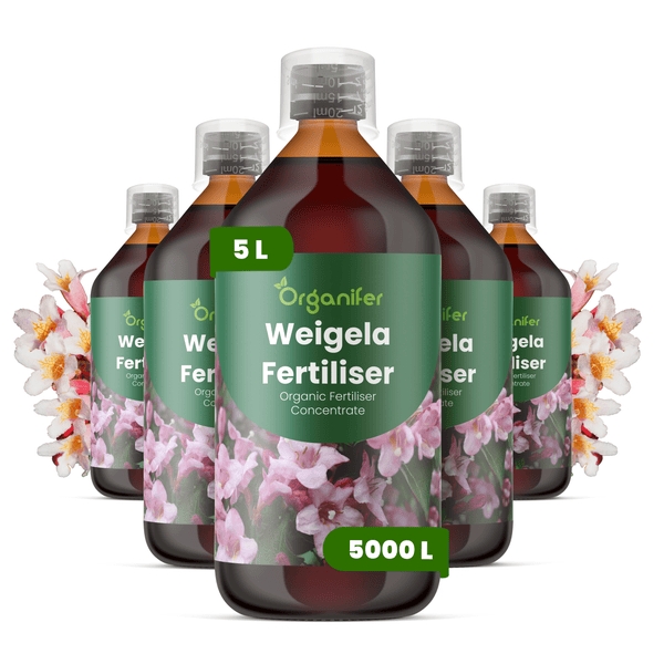 Organifer organischer Weigela Dünger Konzentrat, Set aus fünf Flaschen, insgesamt 5 Liter.