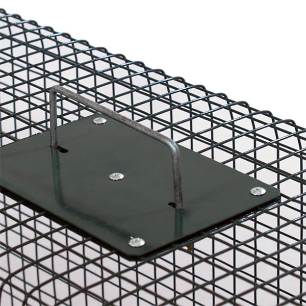 Safe 5001 Lebendfalle 23x23x60cm 1 Eingang