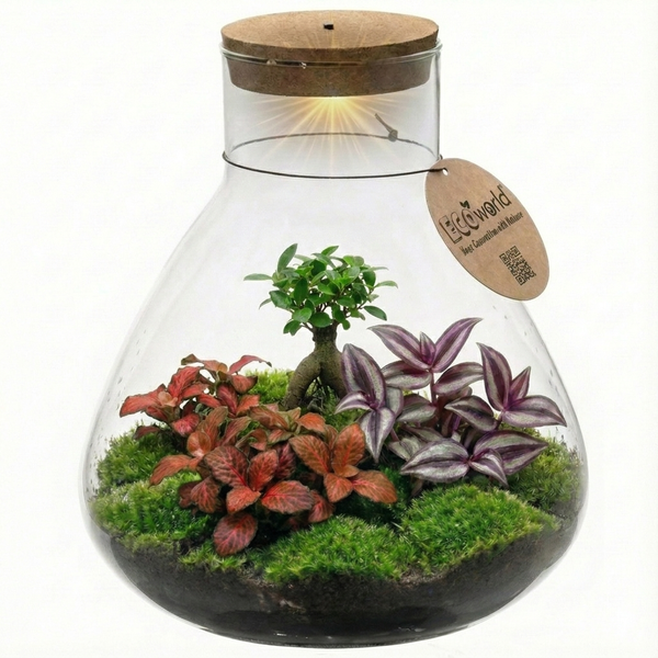 Pflanzenterrarium im Glas mit Korkdeckel, LED Beleuchtung und Ecoworld Logo. Enthält einen Minibaum, bunte Pflanzen und Moos.