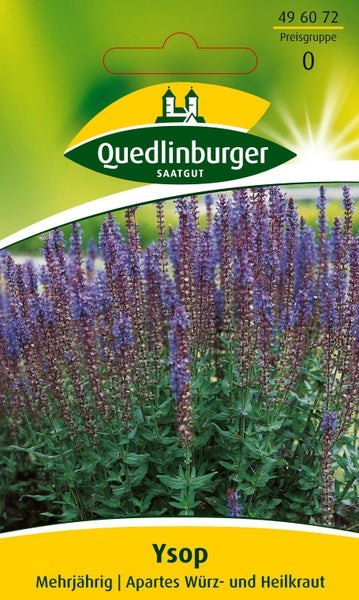 Samentüte für Ysop von Quedlinburger Saatgut, mehrjährige Würzpflanze und Heilpflanze mit violetten Blüten.