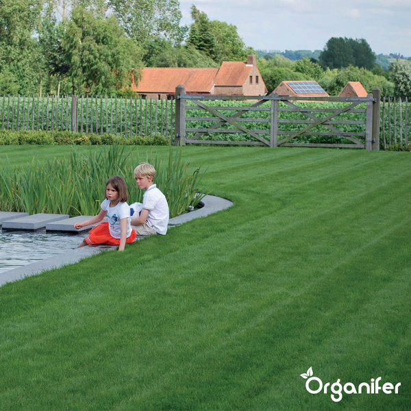 Gartenlandschaft mit Rasenfläche, Teich und spielenden Kindern