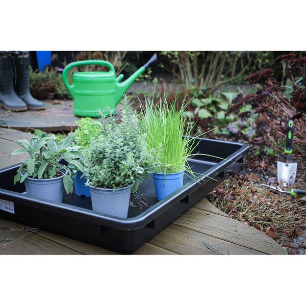 Pflanzschale mit Kräutern, Gießkanne und Gartengeräten im Garten