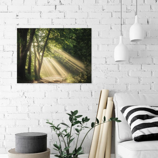 Bilder Wald Natur Leinwandbild Wandbild Wanddeko Schlafzimmer 60X40 cm