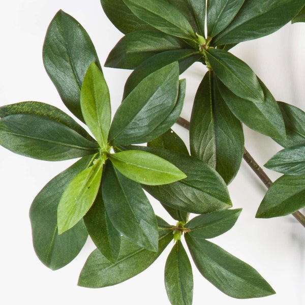 Künstlicher Rhododendronzweig mit grünen Blättern.