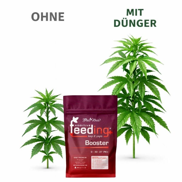 Abbildung eines Sackes Green House Feeding Booster Dünger im Vergleich zu Pflanzen mit und ohne Dünger.