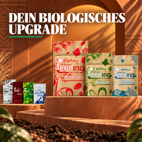 Verschiedene Packungen organischer Pflanzendünger von Green House Feeding auf einem Podest vor einem Torbogen.