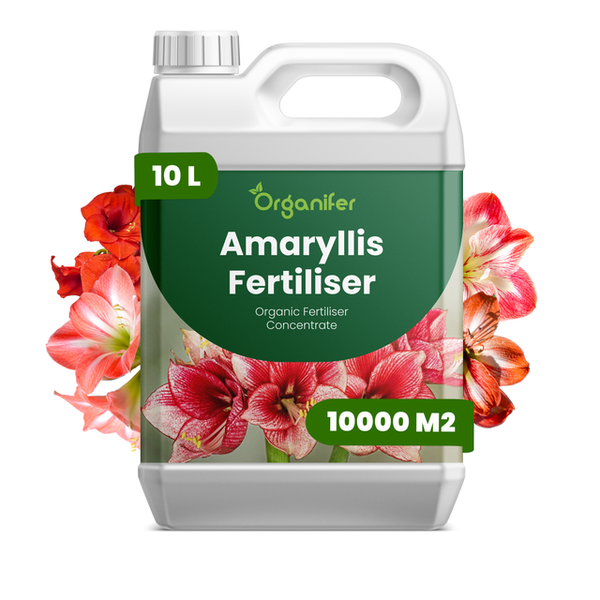 Organifer Amaryllis Dünger, organisches Düngerkonzentrat, 10 Liter Kanister für 10000 Quadratmeter.