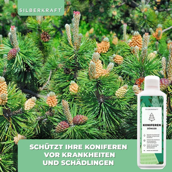 SILBERKRAFT Koniferen Dünger – Für Thuja & Co. – NPK Flüssigdünger – 1 Liter