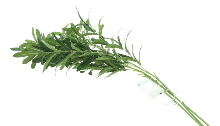 FRANK FLECHTWAREN|LED-Zweige Olive, H: 92 cm,