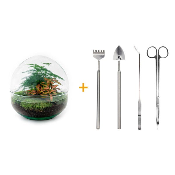 Flaschengarten Dome Glaskugel DIY-Pflanzenterrarium 20 cm incl. Rechen Schaufel Pinzette und Schere
