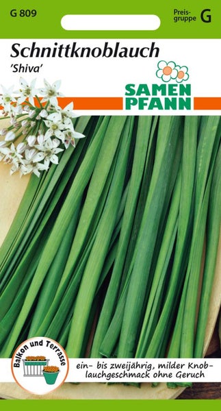 Samenpackung Schnittknoblauch der Sorte Shiva
