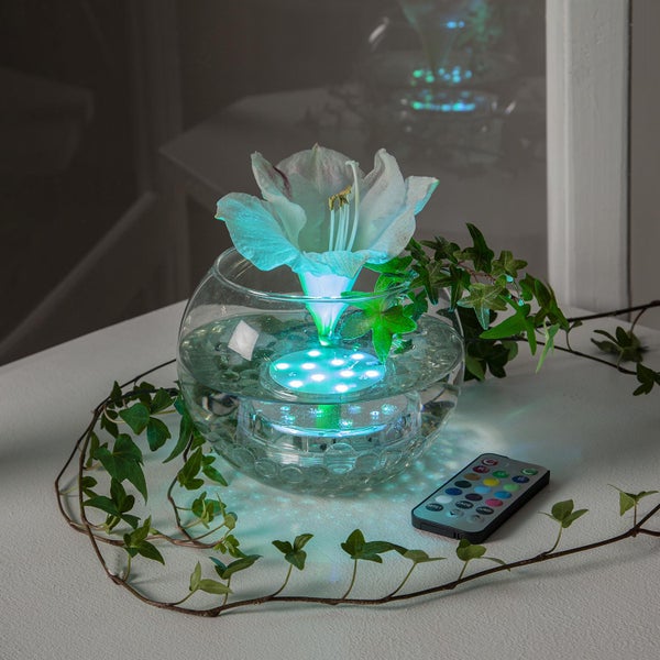 Dekorative Glasschale mit LED-Beleuchtung, Amaryllisblüte und Efeugirlande