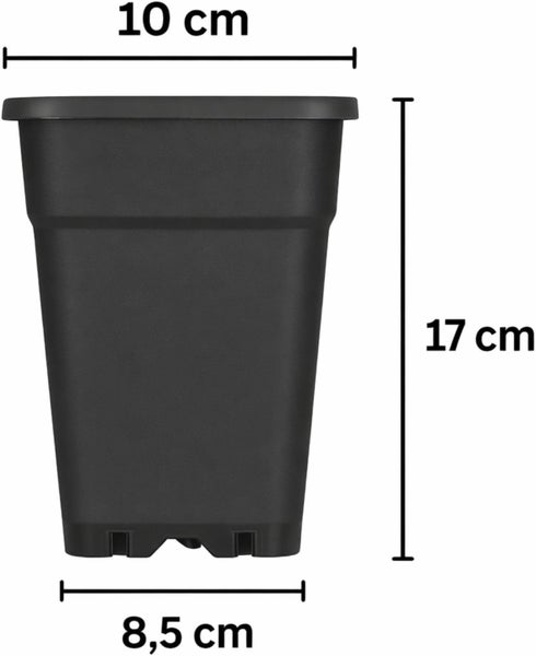 Schwarzer quadratischer Kunststofftopf mit Maßen: oben 10 Zentimeter, unten 8,5 Zentimeter breit und 17 Zentimeter hoch.