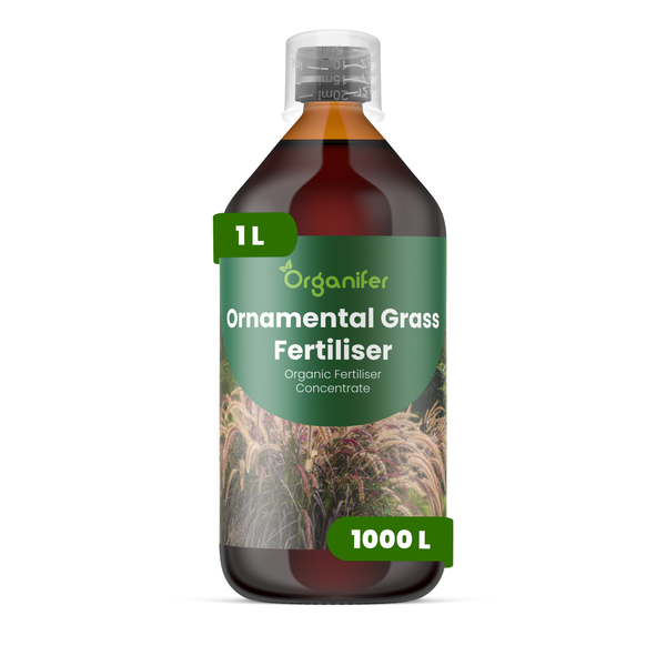 Organifer Bio-Ziergrasdünger Konzentrat, 1 Liter Flasche, ausreichend für 1000 Liter.
