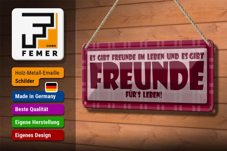 Blechschild Spruch 27x10cm Es gibt Freunde im Leben Dekoration