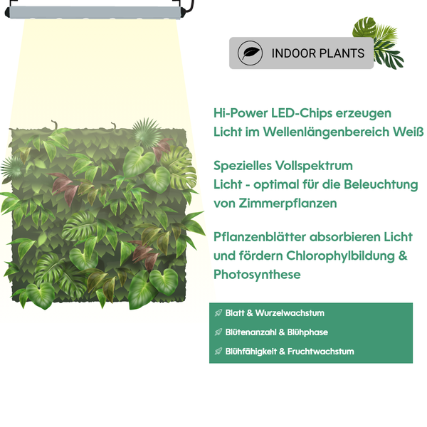 Parus by Venso Wall Spot 90cm, Abstrahlwinkel 120°, LED Wachstumslampe, Grow Light für Zimmerpflanzen und Grünpflanzen, Fassaden- und Wandbegrünung