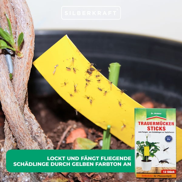 Trauermücken-Sticks – Klebefallen zur Bekämpfung von Trauermücken, Weißen Fliegen & Blattläusen – Für Topf- & Balkonpflanzen – Ohne Insektizide