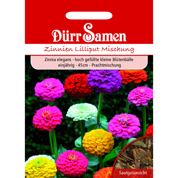 Zinnien Lilliput Prachtmischung einjährig Saatgut von Dürr Samen