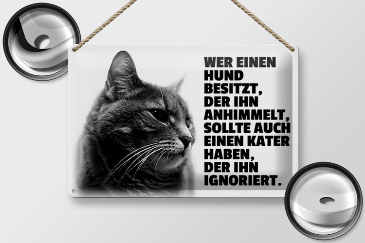 Blechschild Spruch 30x20cm Hund himmelt an Kater ignoriert