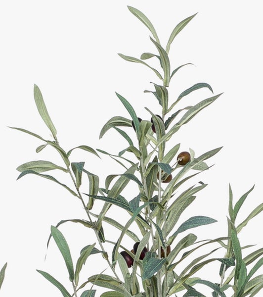 Nahaufnahme eines künstlichen Olivenbaums mit grünen Blättern und dunklen Olivenfrüchten.