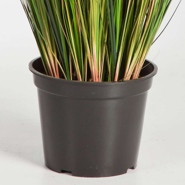 Deko Fuchsschwanzgras im Topf, 790 Halme, 6 braunen Rispen, grün, 60cm - Grasbusch künstlich - Kunstgras im Topf