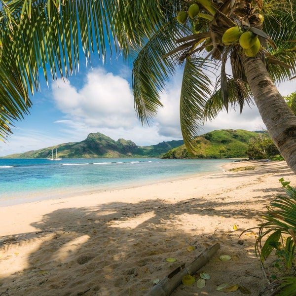 Strandansicht mit Palmen, Sand und Meer
