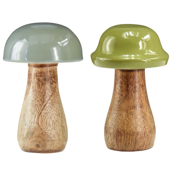 Zwei dekorative Pilze mit Holzkörper