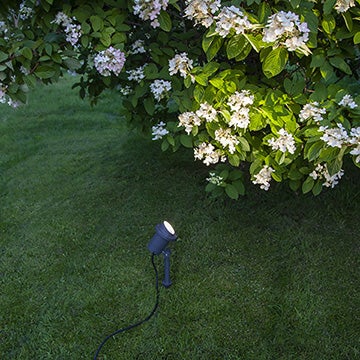 Gartenbeleuchtung mit Strahler unter blühendem Strauch auf Rasen