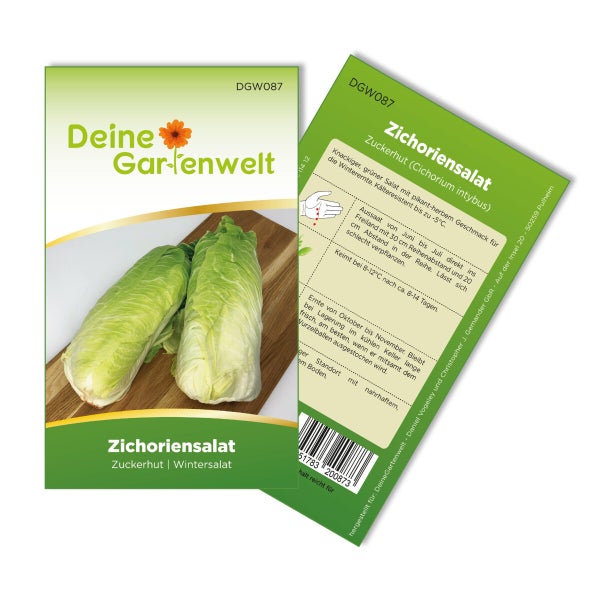 Zichoriensalat Zuckerhut Samen von Deine Gartenwelt