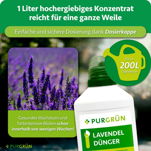 Purgrün Lavendeldünger Konzentrat 1 Liter Flasche mit Dosierkappe für 200 Liter Gießwasser für kräftiges Wachstum und farbintensive Blüten.