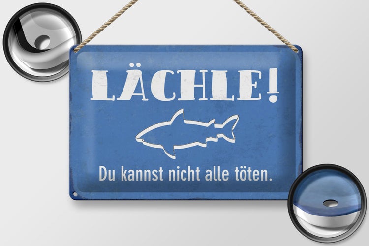 Blechschild Spruch 30x20cm lächle Du kannst nicht alle