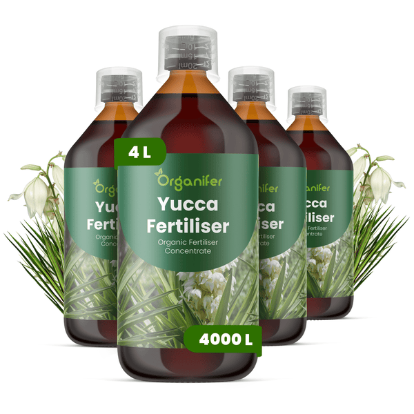 Organifer Yucca-Dünger, organisches Konzentrat, 4 Liter für 4000 Liter, vier Flaschen mit Messkappen, Organifer Logo.