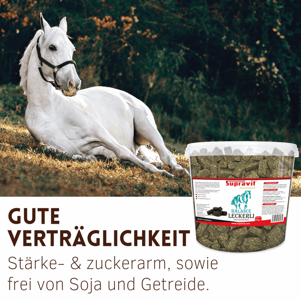 Eimer mit Supravit Balance Leckerli für Pferde, stärke- und zuckerarm, getreide- und sojafrei, 3 Kilogramm.