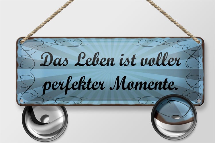 Blechschild Spruch 27x10cm Leben voller perfekter Momente Dekoration