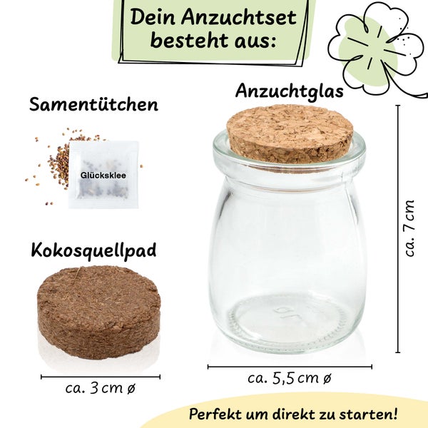 Hinrichs Greens Glücksklee Anzuchtset im Glas