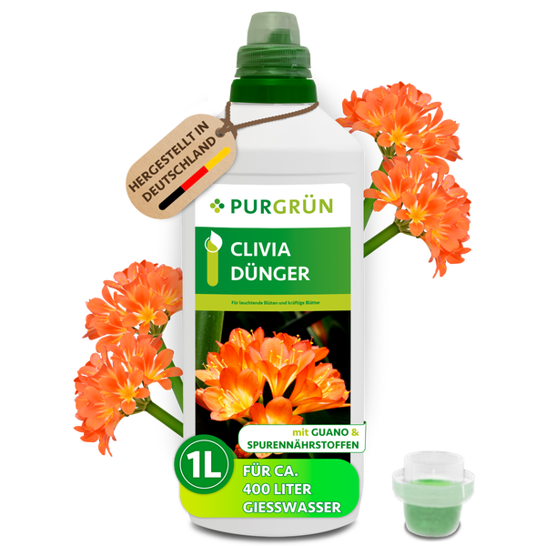 Purgrün Logo, Clivia Dünger, 1 Liter Flasche, mit Guano und Spurennährstoffen, für circa 400 Liter Gießwasser, hergestellt in Deutschland.