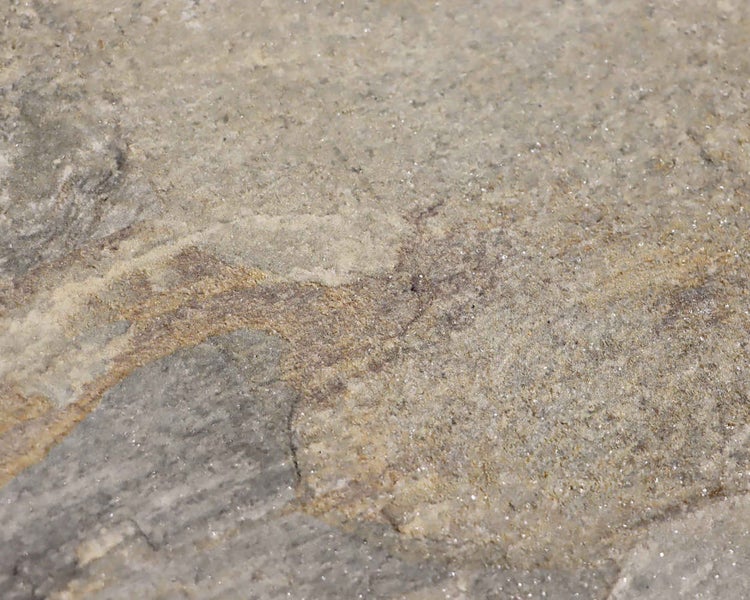 Wohnrausch Keramik Poolumrandung Beckenrandstein SLATE GREY, 60 x 30 x 3 cm, 1 Rundkante, Schieferoptik, beige-grau