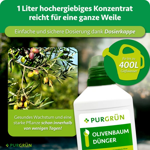 Eine Flasche Purgrün Olivenbaumdünger mit Dosierkappe, für bis zu 400 Liter Gießwasser, mit Bild eines Olivenzweigs mit Früchten.