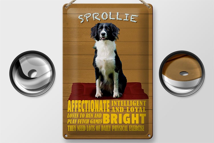 Blechschild Spruch 20x30cm Sprollie Hund intelligent loyal