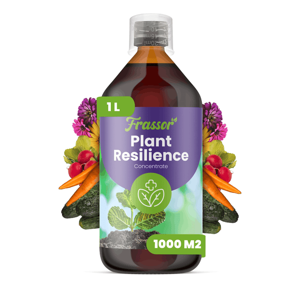 Frassor Plant Resilience Konzentrat, 1 Liter Flasche, Pflanzenstärkungsmittel für Gemüse und Blumen, ausreichend für 1000 Quadratmeter.