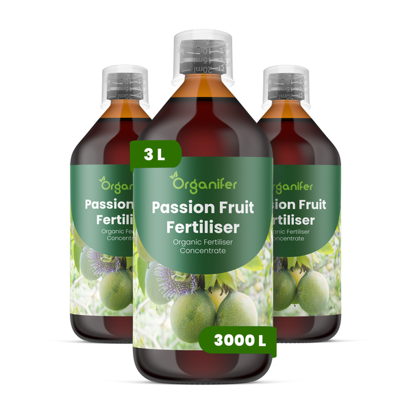 Drei Flaschen Organifer Bio-Passionsfrucht-Dünger Konzentrat 3 Liter für 3000 Liter.