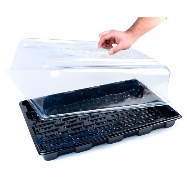 VDL Grow Gewächshaus 39x59x21 cm mit Belüftung – Kunststoff-Propagator für Stecklinge, Steinwolle-Tabletts & professionelle Pflanzenzucht