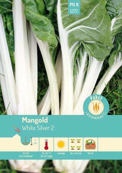 Mangold White Silver 2 Saatgut mit Informationen zu Aussaat, sonnigem Standort und Erntezeit sowie Pabst Logo.