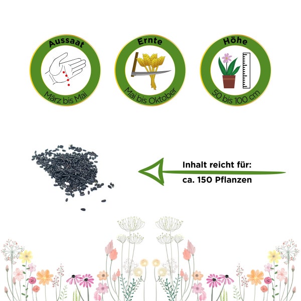 Zitronenmelisse Samen von Deine Gartenwelt