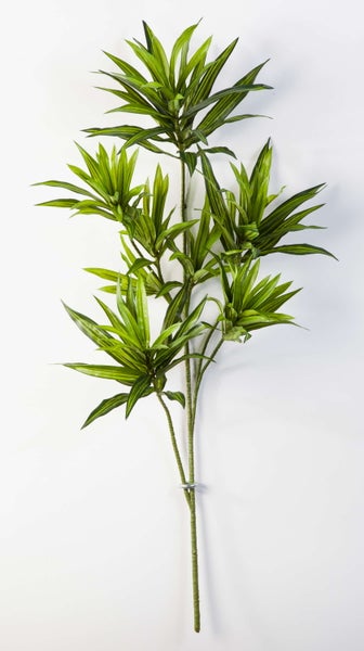 Künstlicher Dracaena-Zweig mit grünen, hell gestreiften und spitz zulaufenden Blättern für die Dekoration.